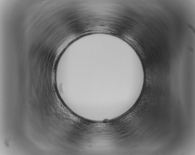 X0000100321188200806261219