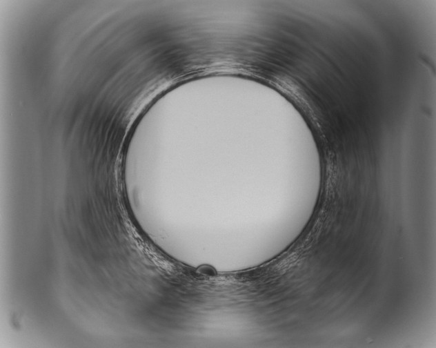 X0000100321190200806261219