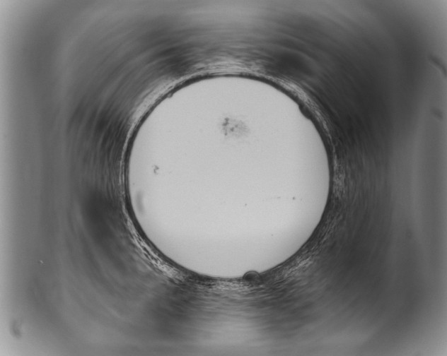 X0000100321191200806261219