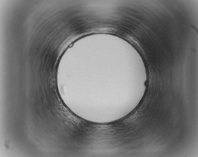 X0000100321192200806261219