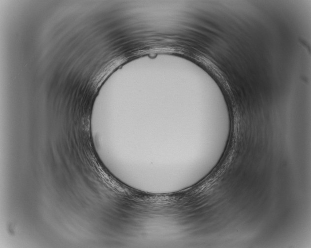 X0000100321193200806261219