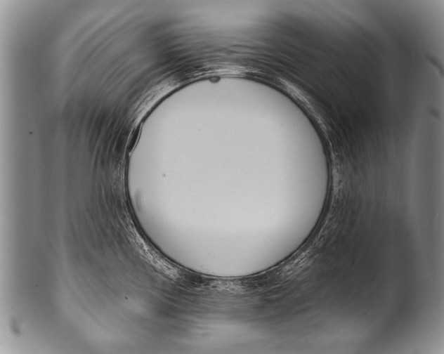 X0000100321194200806261219