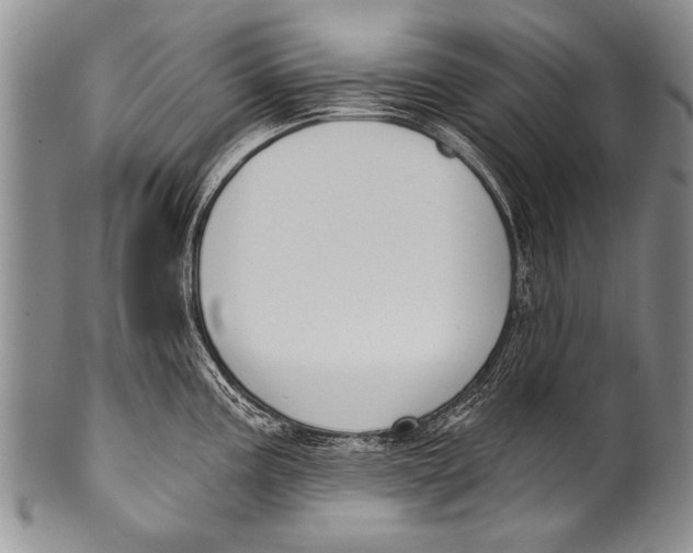 X0000100321195200806261219