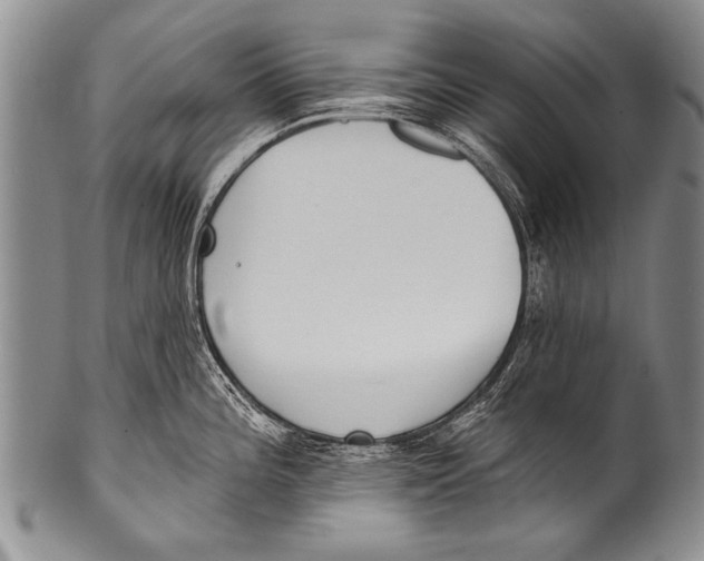 X0000100321196200806261219