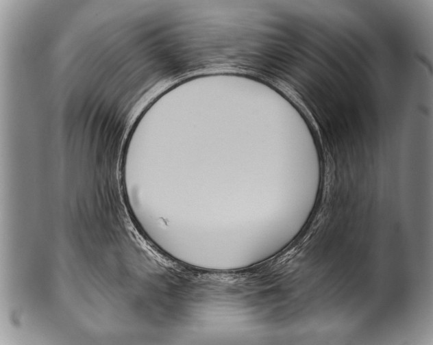 X0000100321197200806261219