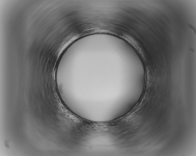 X0000100321198200806261219