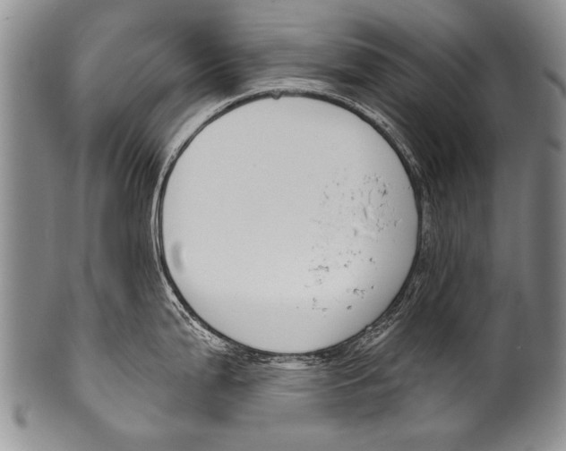 X0000100321199200806261219