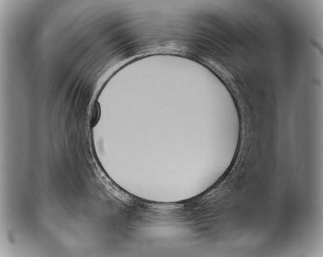 X0000100321200200806261219