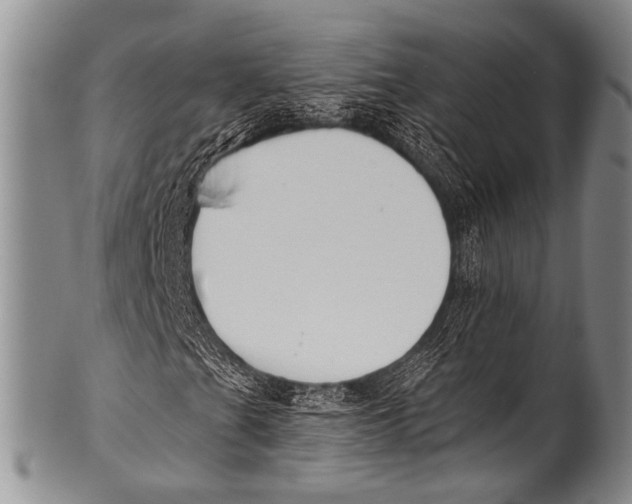 X0000100321201200806261218