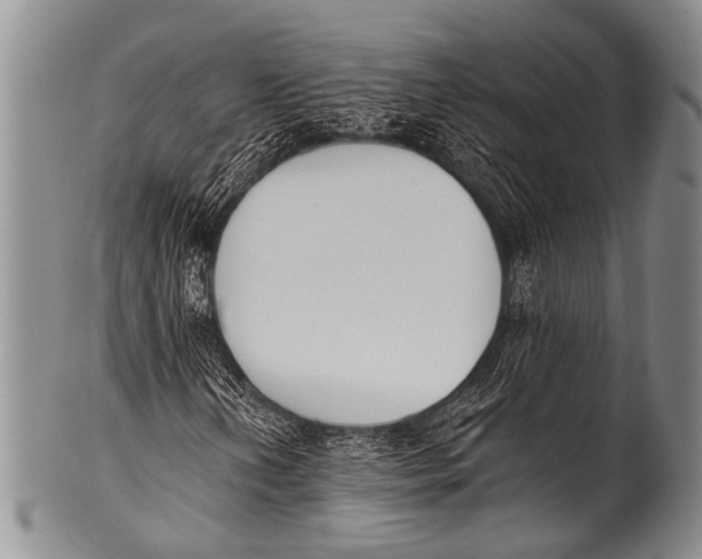 X0000100321202200806261218