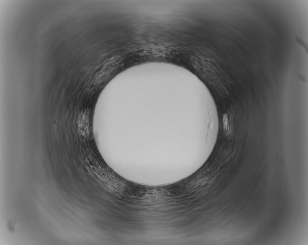 X0000100321203200806261218