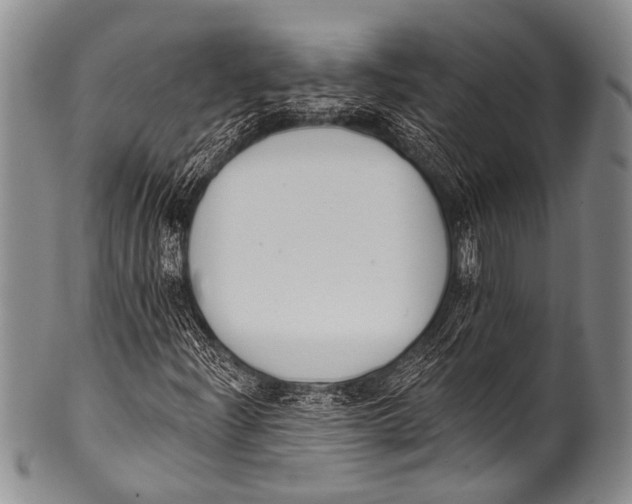 X0000100321204200806261218