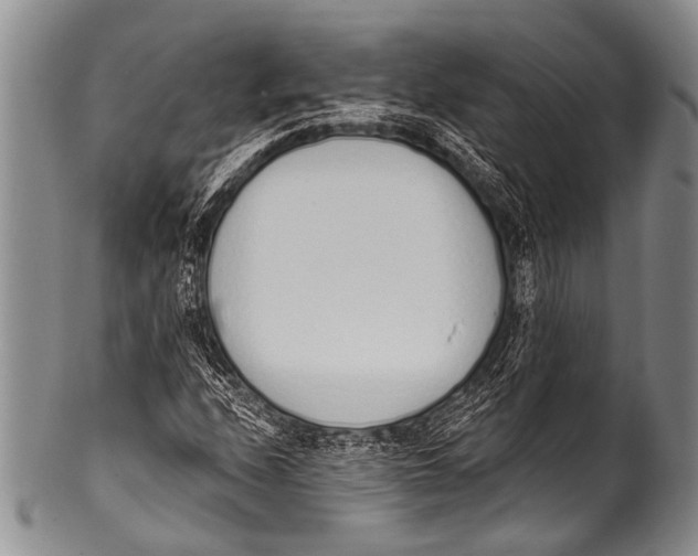 X0000100321208200806261218