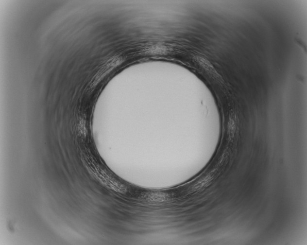 X0000100321209200806261218