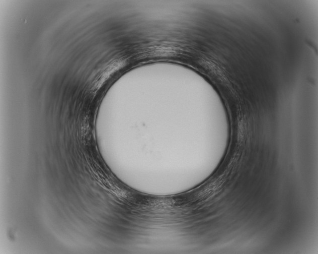 X0000100321210200806261218