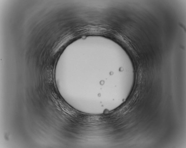 X0000100321211200806261218