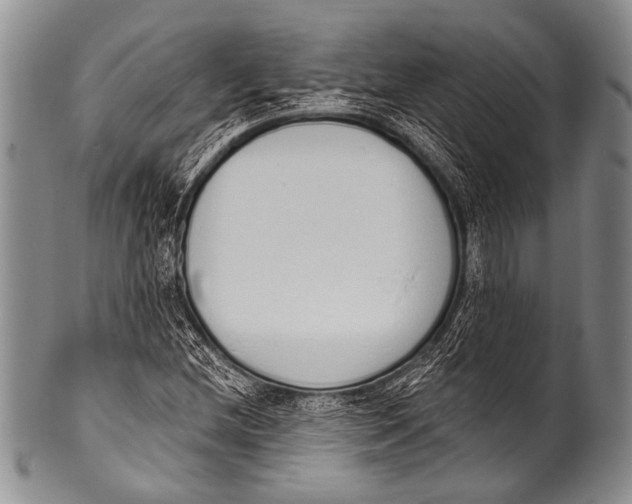 X0000100321212200806261219