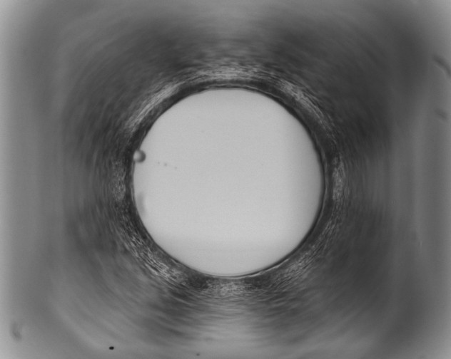 X0000100321213200806261219