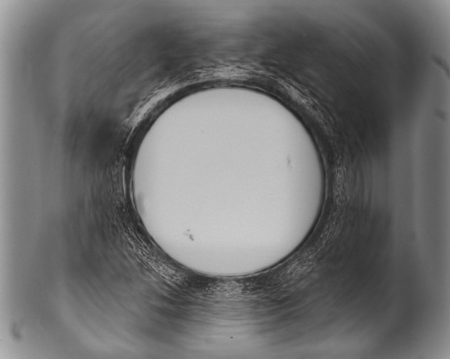 X0000100321214200806261219