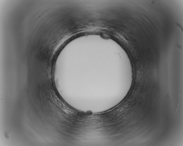 X0000100321216200806261219