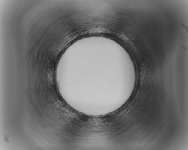 X0000100321217200806261219