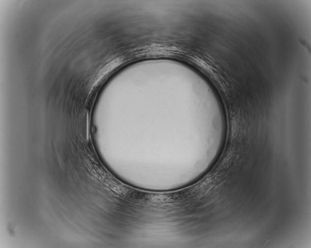 X0000100321219200806261219