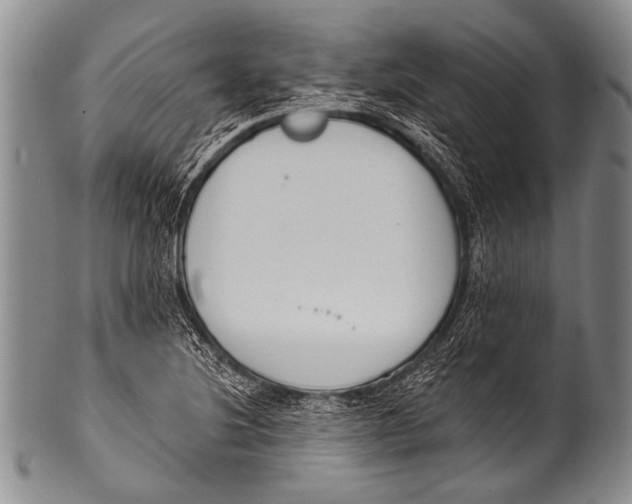 X0000100321220200806261219