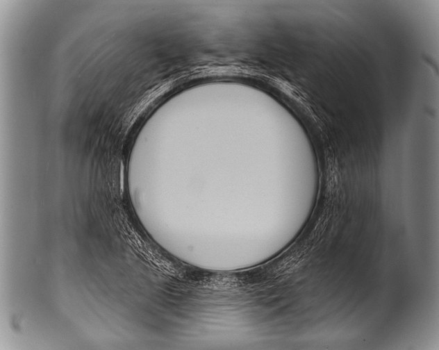 X0000100321221200806261219