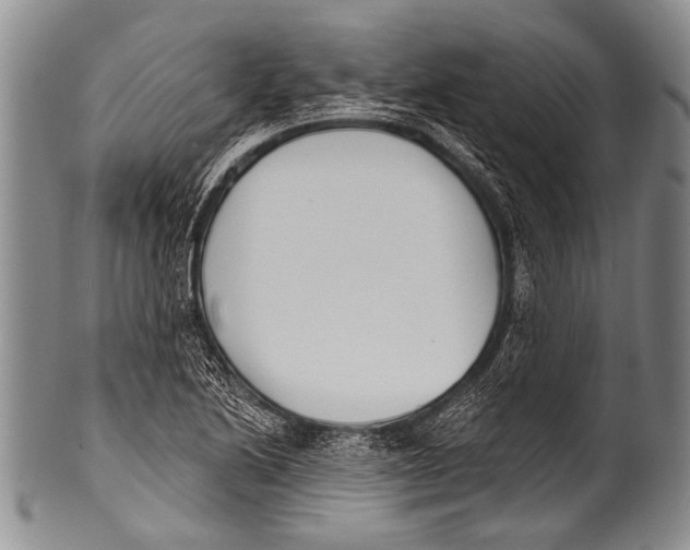 X0000100321222200806261219