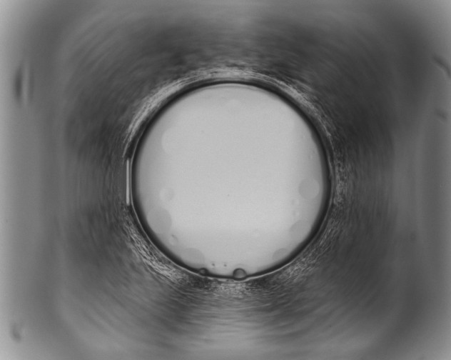 X0000100321223200806261219