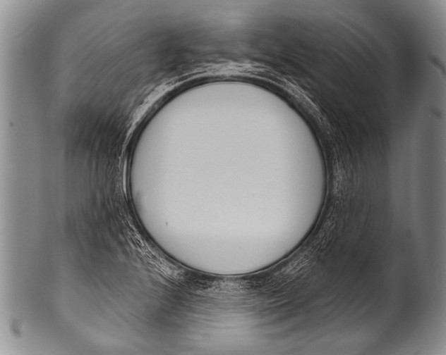 X0000100321224200806261219