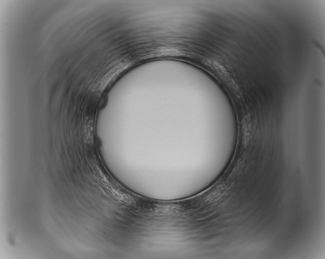 X0000100321225200806261219