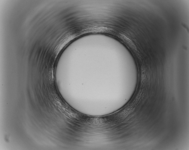 X0000100321226200806261219