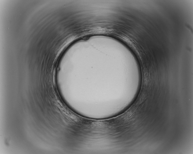 X0000100321227200806261219