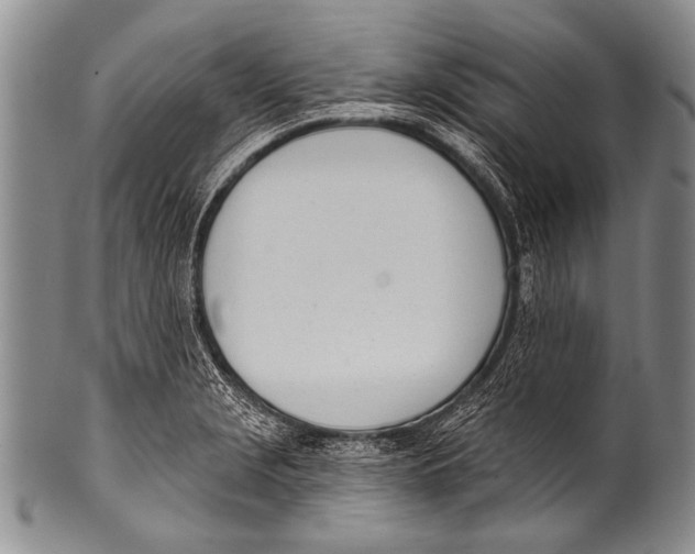 X0000100321229200806261219