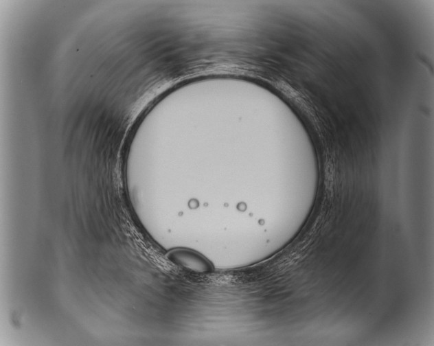 X0000100321230200806261219