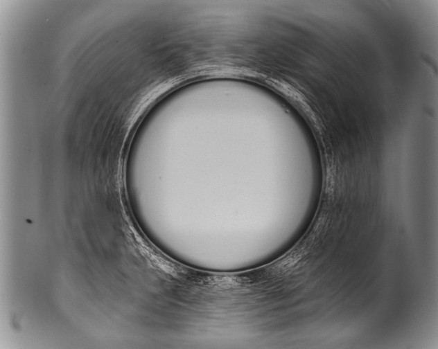 X0000100321231200806261219