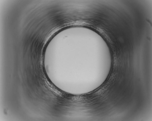 X0000100321232200806261219