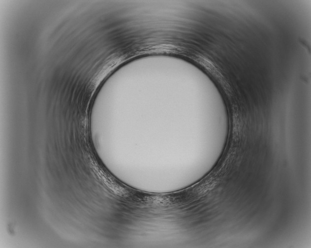 X0000100321234200806261219