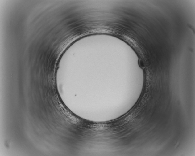 X0000100321236200806261219