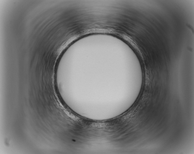 X0000100321237200806261219