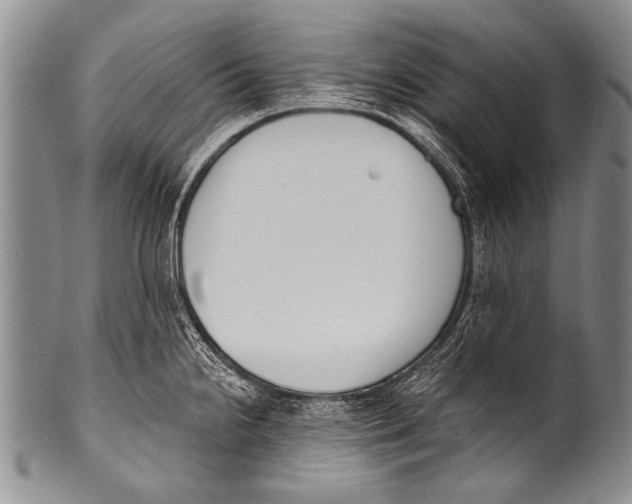 X0000100321238200806261219