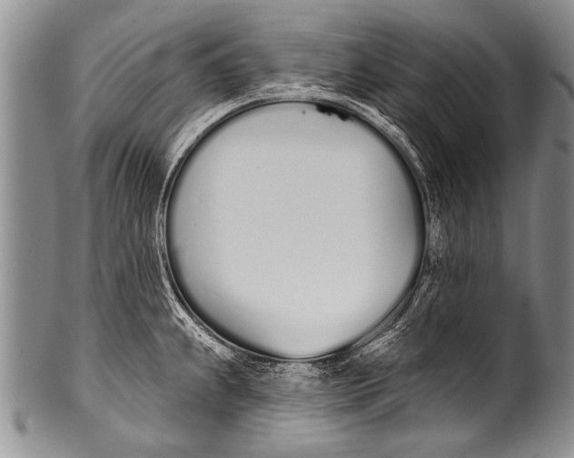 X0000100321239200806261219