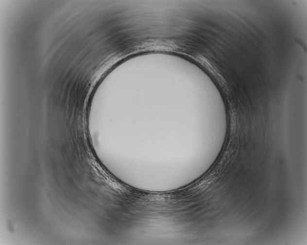 X0000100321240200806261219