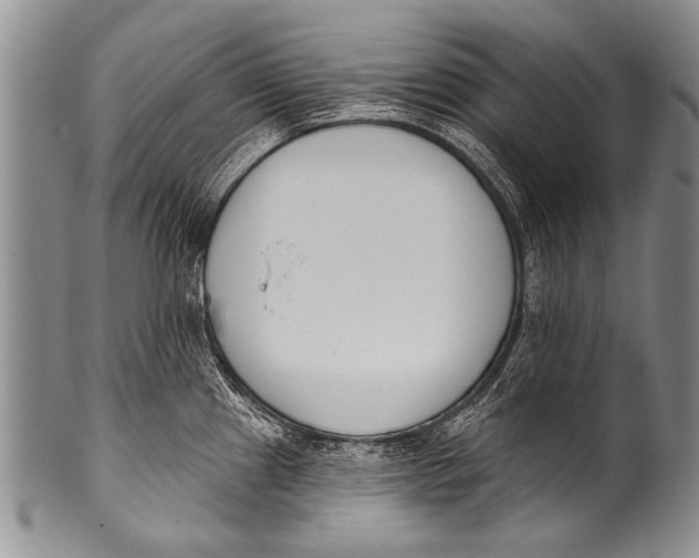 X0000100321241200806261219