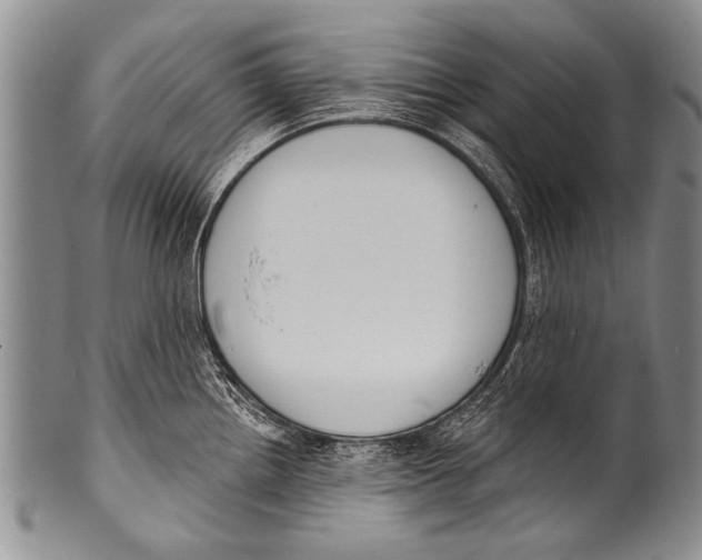 X0000100321242200806261219