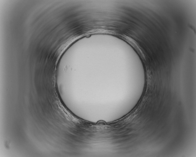 X0000100321244200806261219