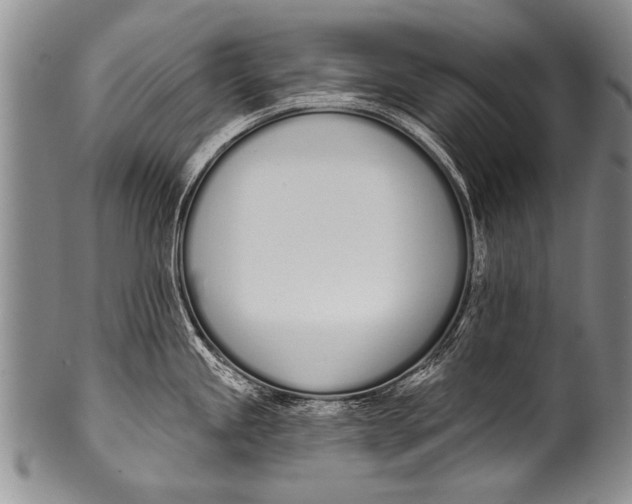 X0000100321245200806261219