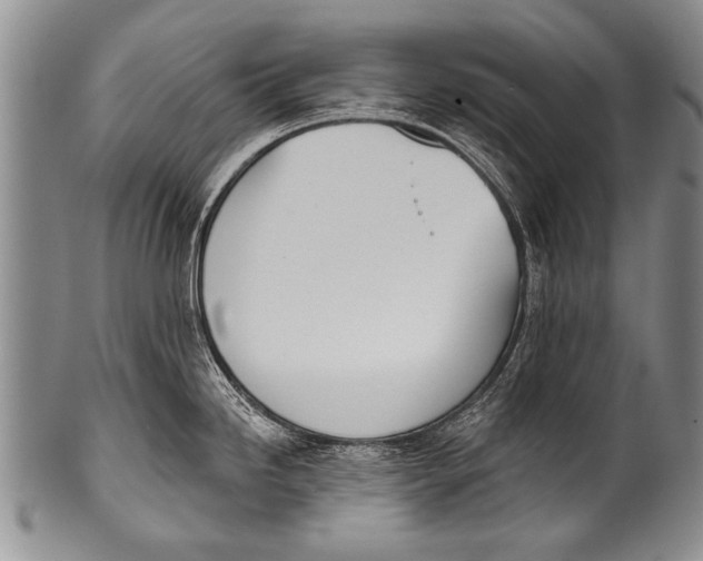 X0000100321246200806261219