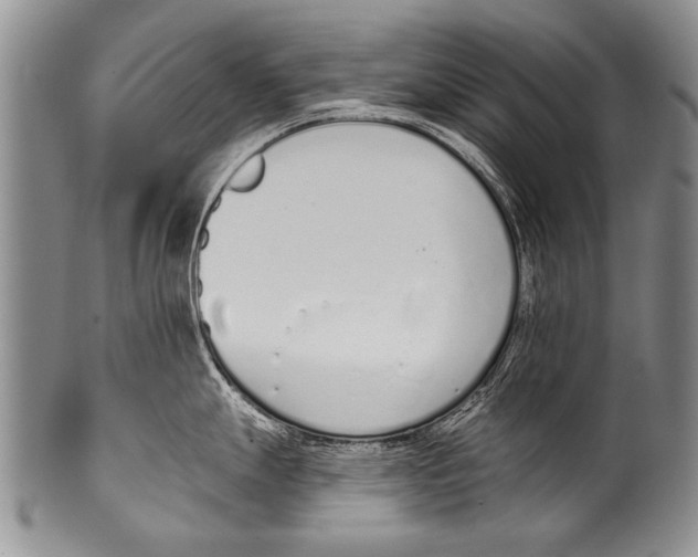 X0000100321247200806261219